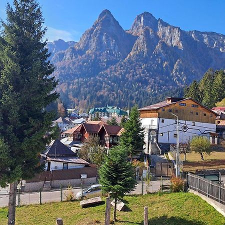 Vila Panoramic Busteni Bagian luar foto