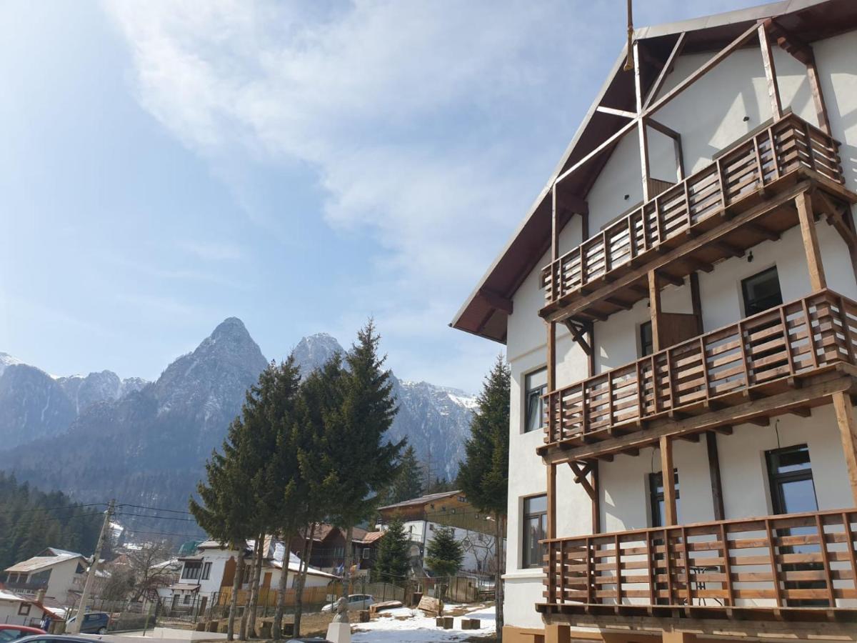 Vila Panoramic Busteni Bagian luar foto