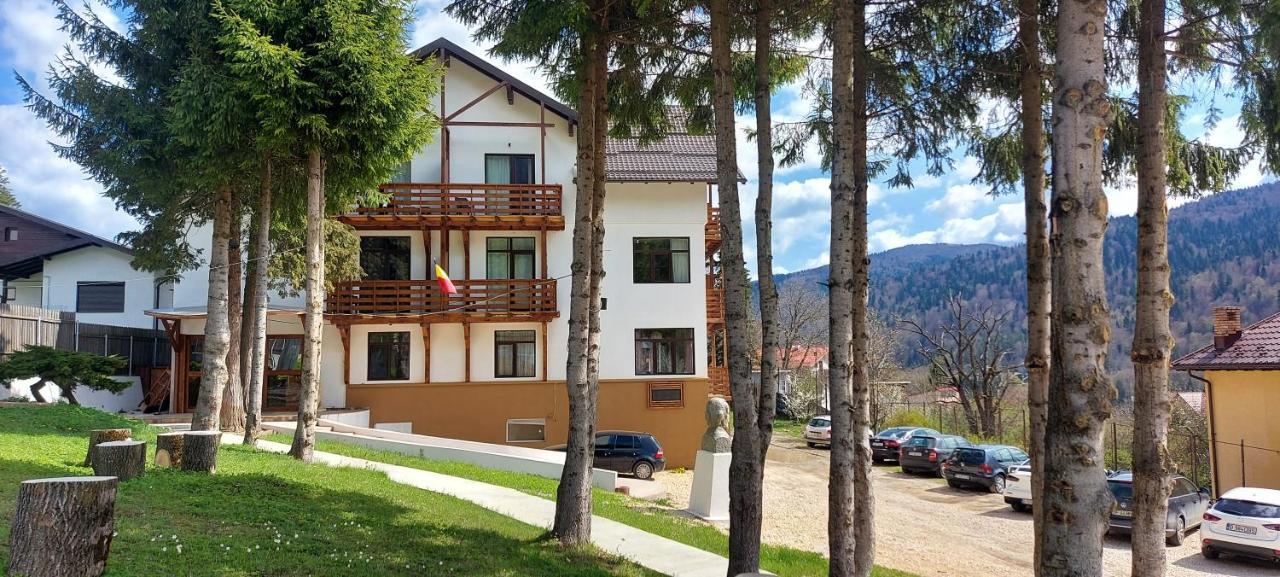 Vila Panoramic Busteni Bagian luar foto