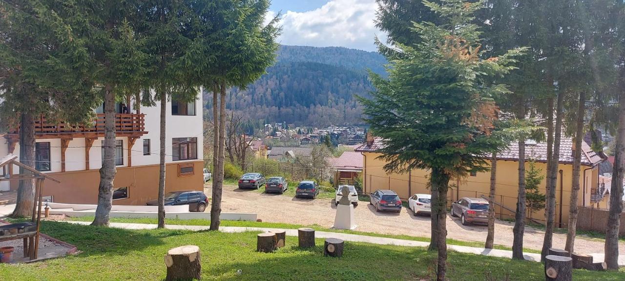 Vila Panoramic Busteni Bagian luar foto
